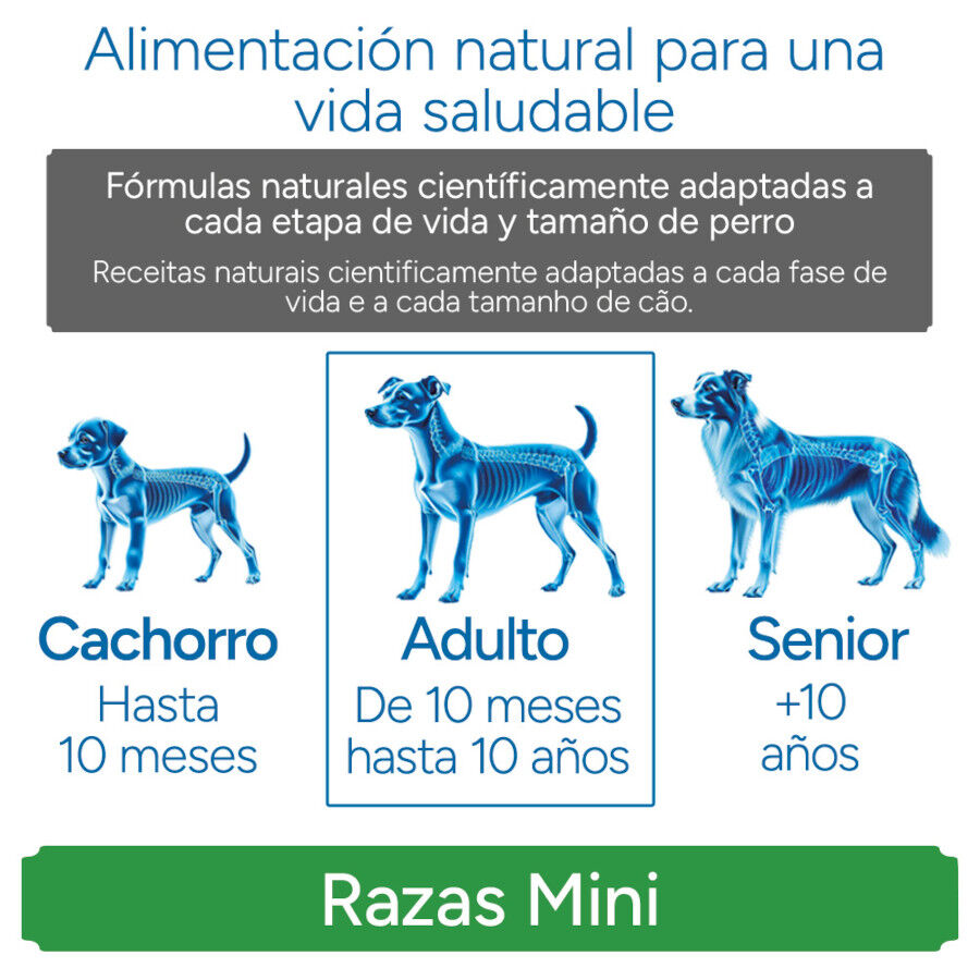 Criadores Cient&iacute;fico Adulto Mini Pienso Pollo para perros, , large Imagen numero 11