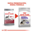 Royal Canin Sterilised Medium pienso para perros, , large image number null
