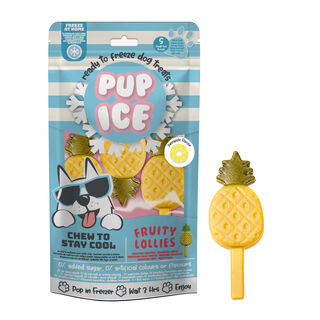 Ice Pup helado fruta sabor piña para perros