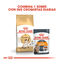 10 kg Royal Canin Adult Siamese pienso para gatos, , large indicador imagen numero 3