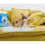 Nobleza - 120 x Empapadores Perros Alfombrilla higiénica de Entrenamiento para Perros. Ultraabsorbente 90cm*60cm, , large indicador imagen numero 5