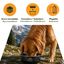 Outech X-perience Comedero Plegable Portatil para perros, , large indicador imagen numero 5
