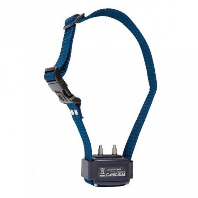 premium antiladridos Azul