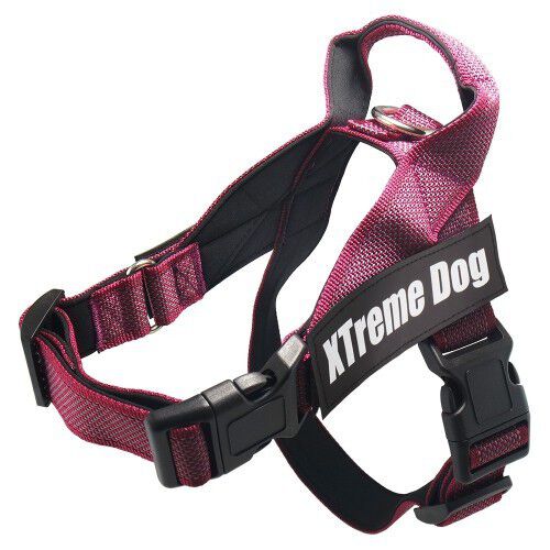 Arn&eacute;s Xtreme Classic para perros color Rosa, , large Imagen numero 1