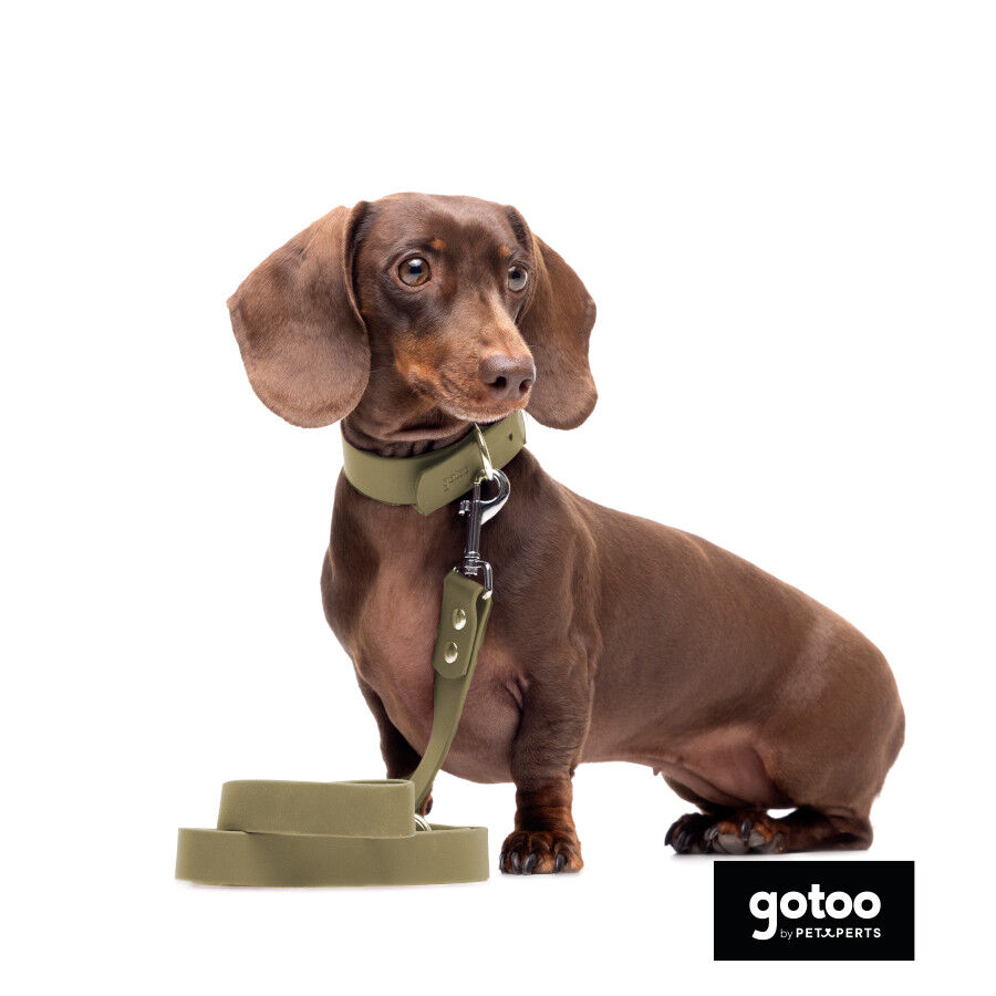 Gotoo Correa Biothane verde oliva para perros, , large Imagen numero 4