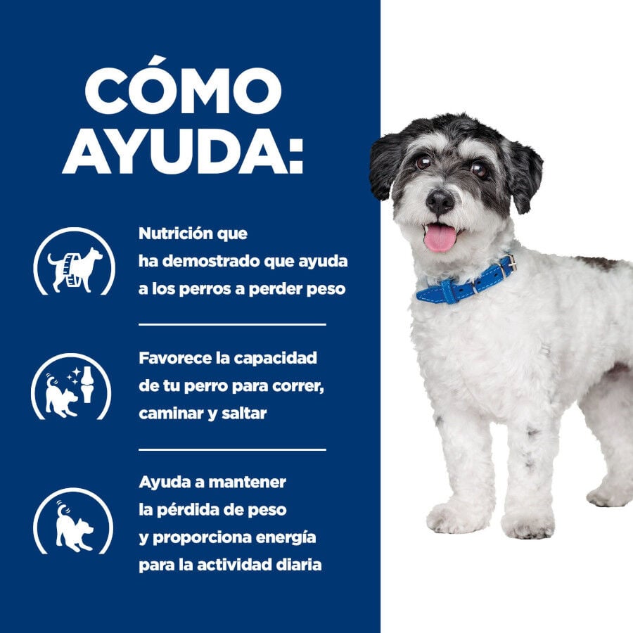 2 x 6 kg Hill's Prescription Diet Metabolic + Mobility Mini j/d pienso para perros &iexcl;Pack ahorro!, , large Imagen numero 4