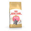 10 kg Royal Canin British Shorthair Kitten pienso para gatos, , large indicador imagen numero 1