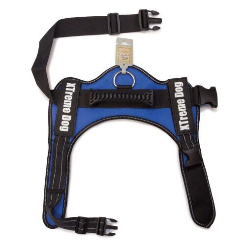 Arn&eacute;s para perros Arquivet Xtreme color azul, , large Imagen numero 3