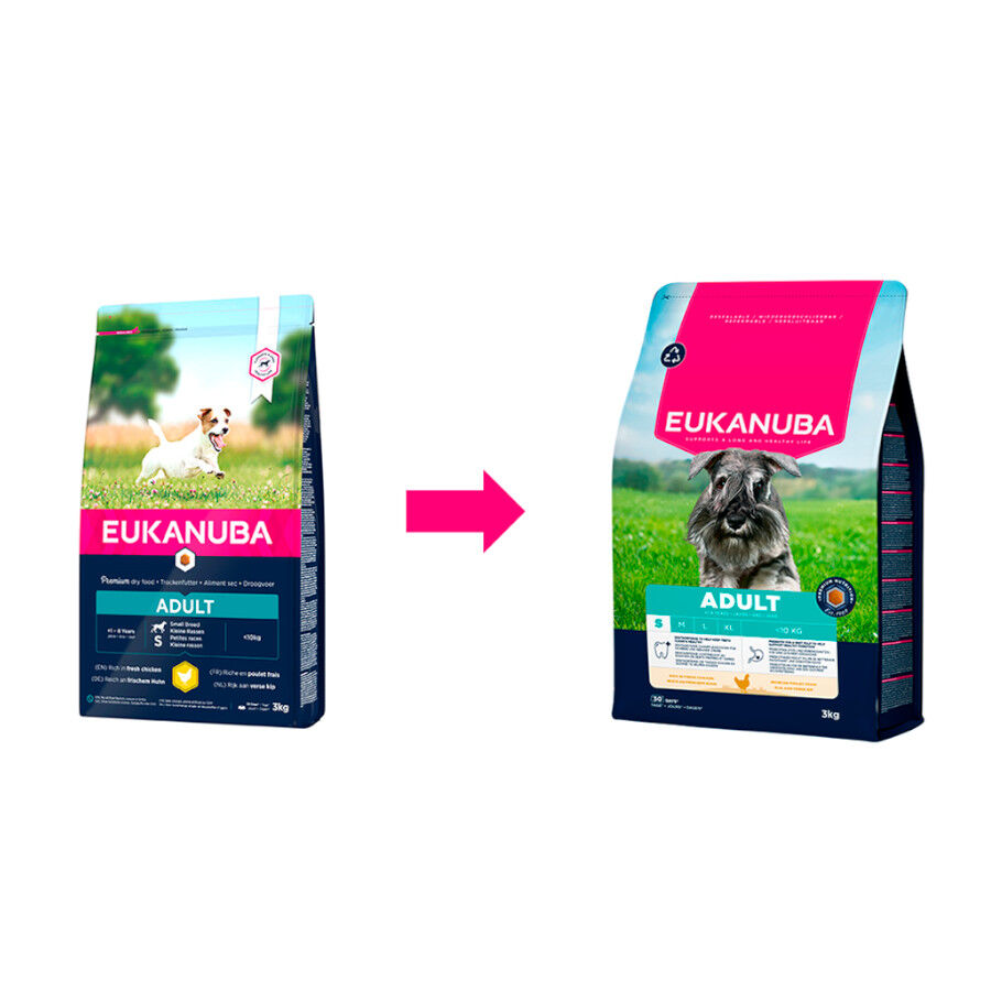 3 kg Eukanuba Adult pollo pienso para perros de raza peque&ntilde;a, , large Imagen numero 2
