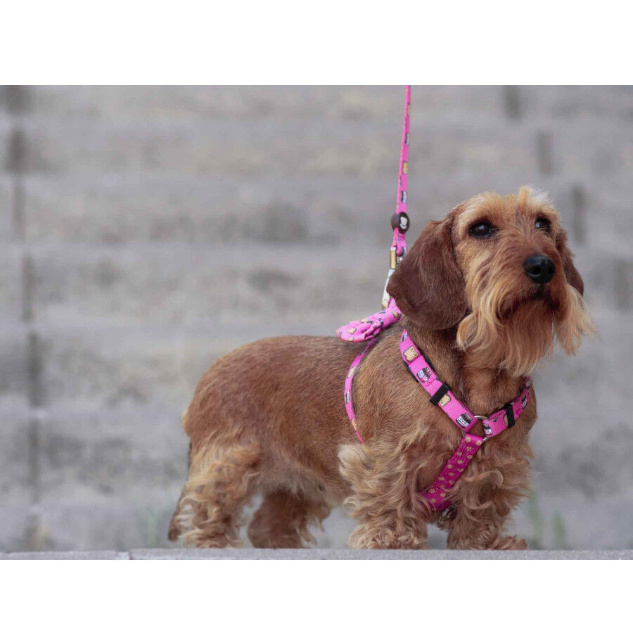 Dukier Dogtella Clásico Arnés Estampado Nutella para perros thumbnail