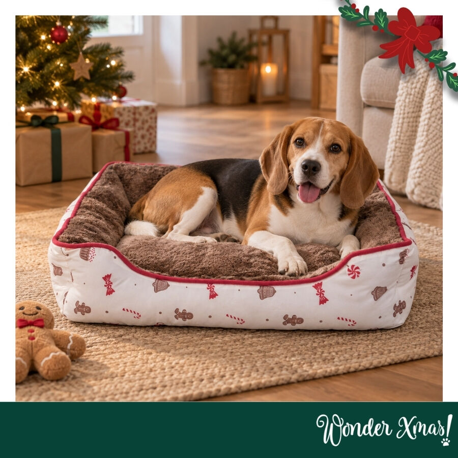 Wonder Christmas Cama Caramelo para perros, , large Imagen numero 2