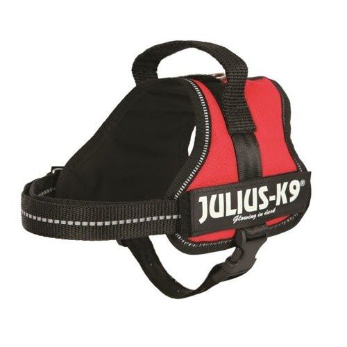 Julius K-9 arn&eacute;s de fuerza rojo para perros, , large Imagen numero 3