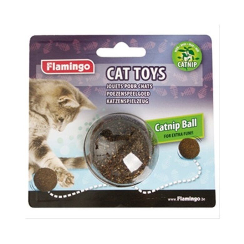 Pelota de catnip para gatos