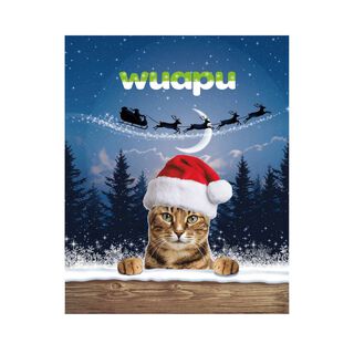 WUAPU CALENDARIO ADVIENTO GATO NAVIDAD