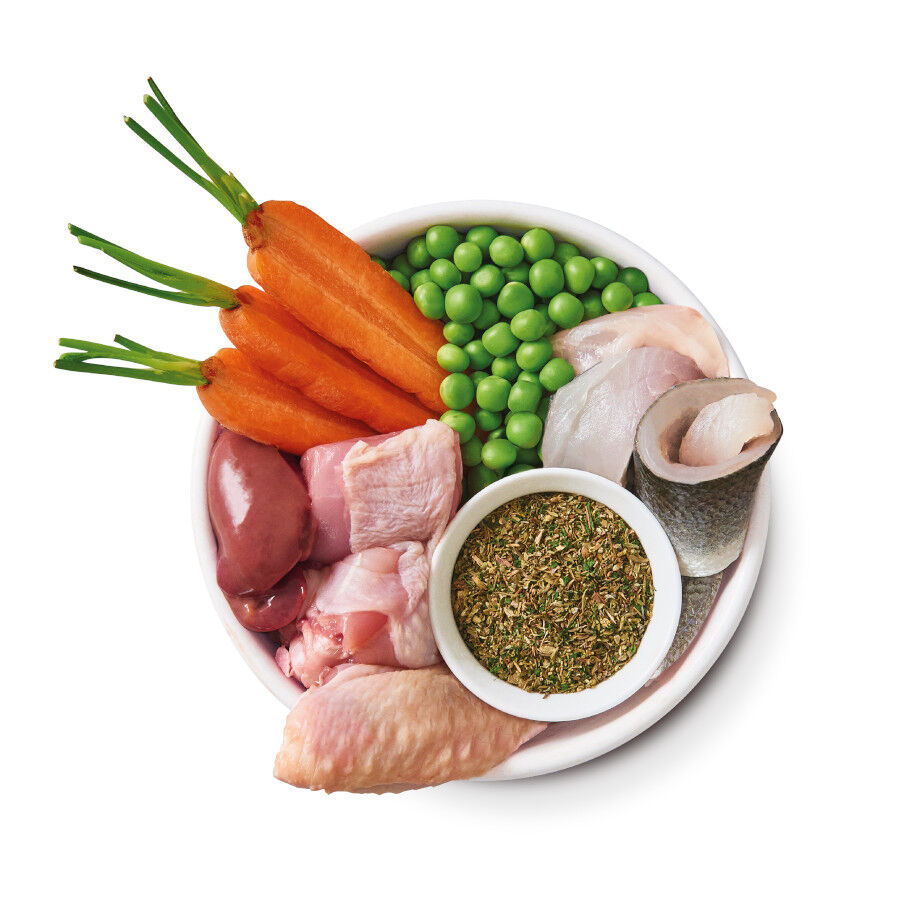 Lily&#039;s Kitchen Puppy Organic Pollo tarrina thumbnail