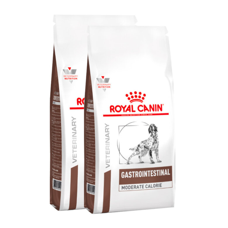 Royal Canin Veterinary Gastrointestinal Moderate Calorie pienso para perros, , large image number null