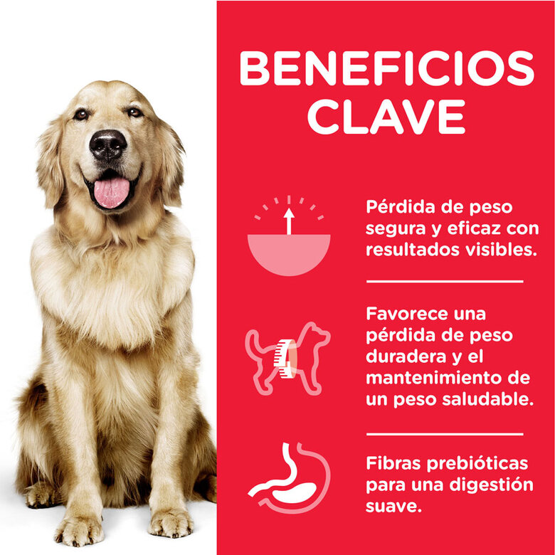Hill's Science Plan Perfect Weight Adult Large Pollo pienso para perros, , large image number null
