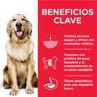 Hill's Science Plan Perfect Weight Adult Large Pollo pienso para perros, , large image number null