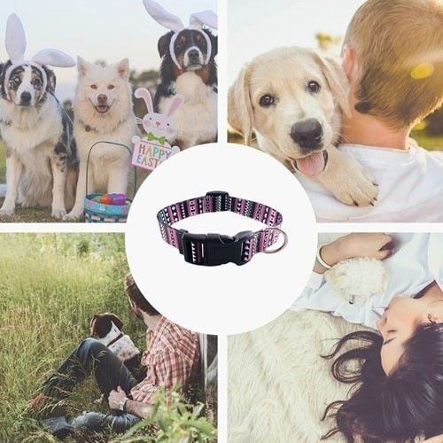 Collar étnico para perro color Morado thumbnail