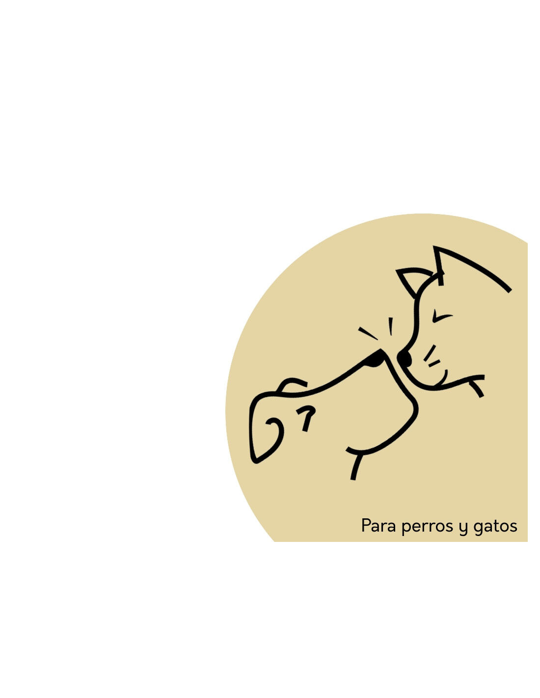 Tiras de carne de ciervo, , large Imagen numero 4