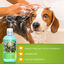 Nobleza Champú para Cachorros Aroma de Almendra y Miel, Champú para perros de pelo corto Hipoalergénico especial para  Bull Terriers y Corgi 250 ml, , large indicador imagen numero 2