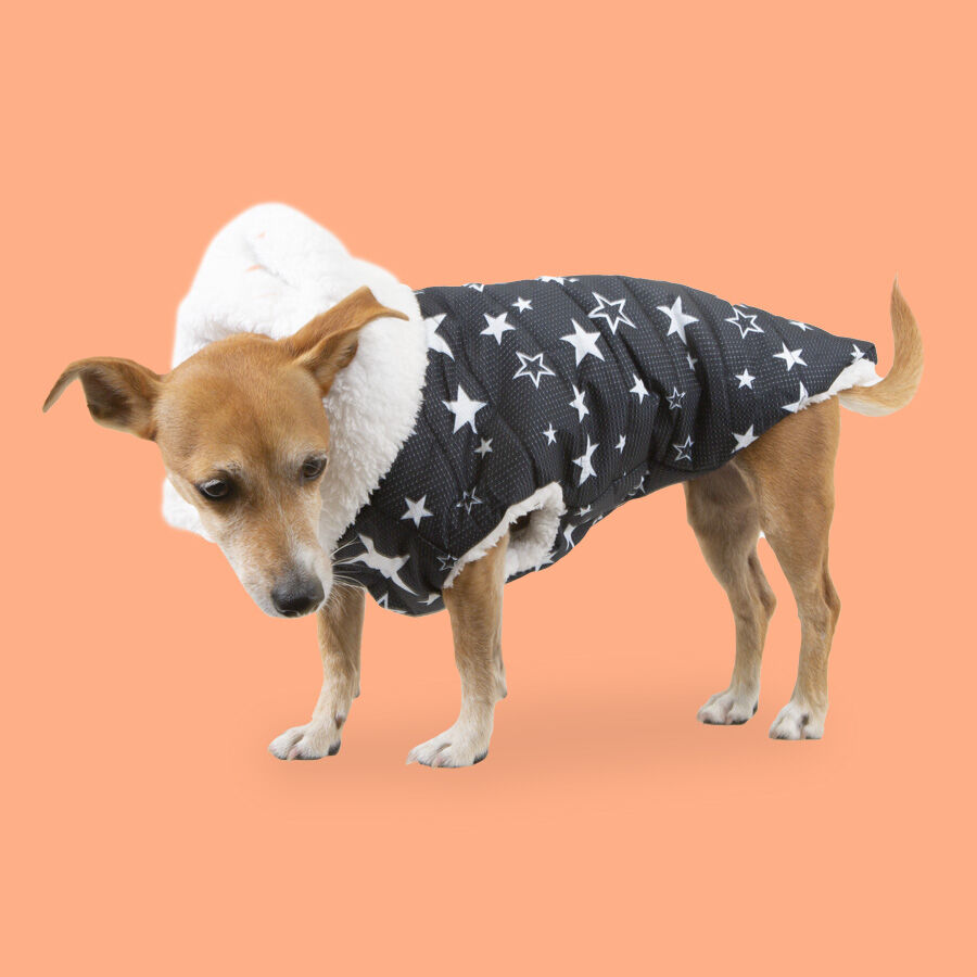 Outech Chubasquero de estrellas con borreguito para perros, , large Imagen numero 2