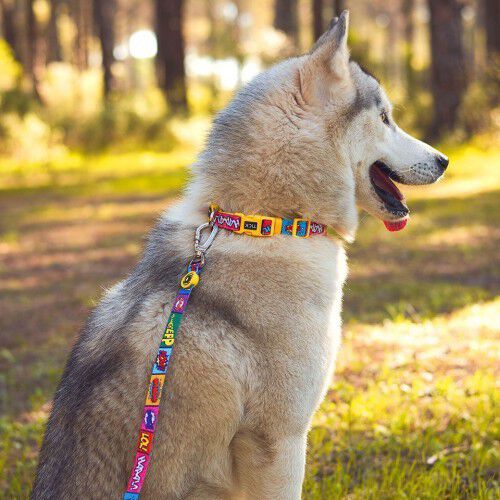 Correa Cómic para perros color Amarillo thumbnail