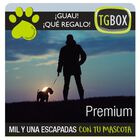 Mil y una escapadas con tu mascota - PREMIUM, , large image number null