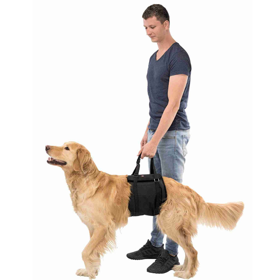 Arn&eacute;s de Banda Talla L-XL, , large Imagen numero 2