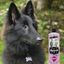 Petuxe Vegan Volumen Champú  sin parabenos para perros, , large indicador imagen numero 3
