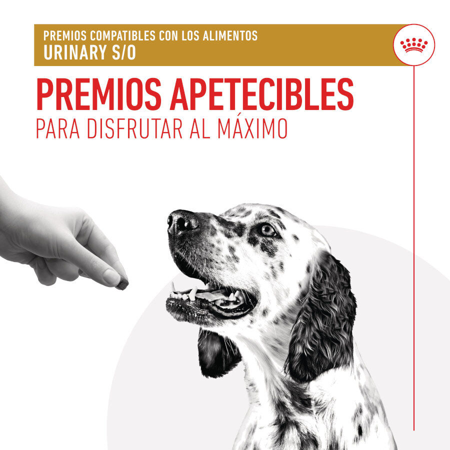 Royal Canin Treats Urinary Snacks para perros thumbnail