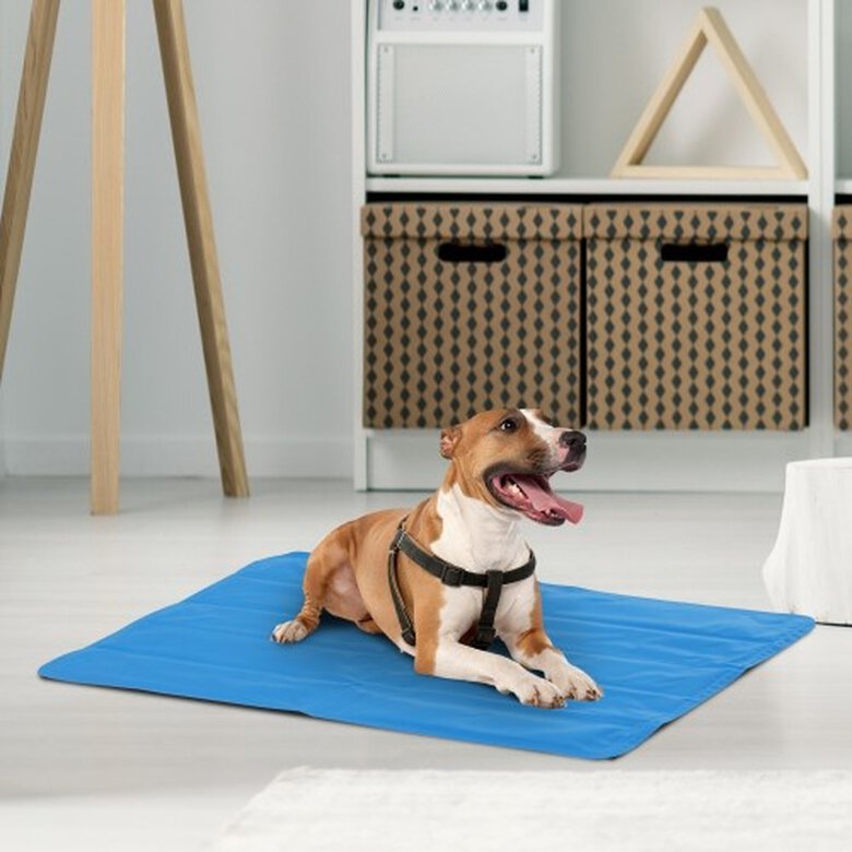 Cama autorefrigerante PawHut para mascotas color Azul, , large image number null