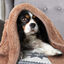 Nobleza &ndash; Manta Suave de Felpa para Perros, Gatos y Otras Mascotas. Lavable. Color Marr&oacute;n 80*80cm, , large indicador imagen numero 4