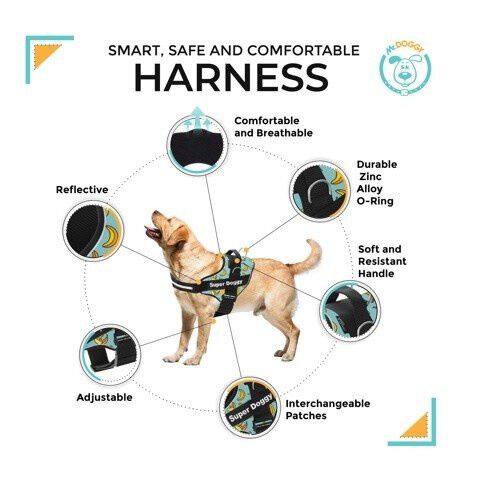 Arn&eacute;s Super Doggy personalizado estampado bananas color Azul, , large Imagen numero 2