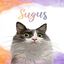 Mascochula sugus retrato realista personalizado con tu mascota en digital multicolor, , large indicador imagen numero 2
