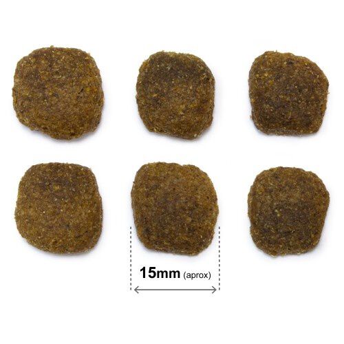 Arquivet original pienso salm&oacute;n y arroz para perros adultos, , large Imagen numero 3