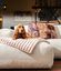 Pet and Co Manta Cuddle Rosa Lazy para Perros, , large indicador imagen numero 3