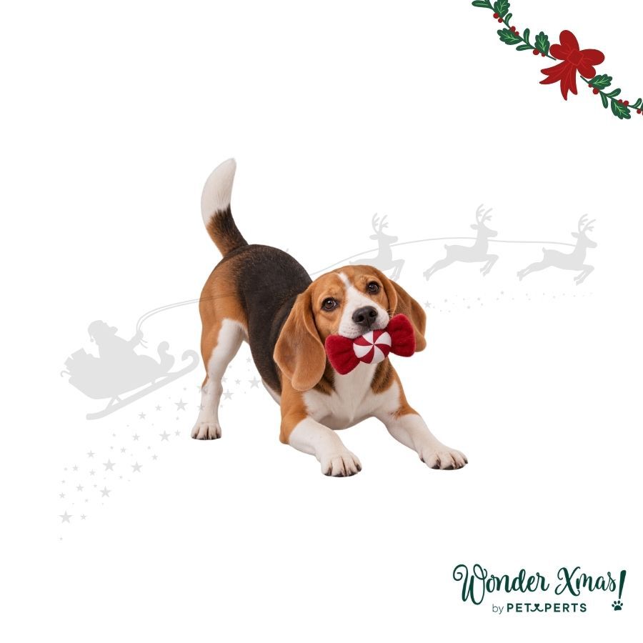 Wonder Christmas Caramelo Juguete para perros, , large Imagen numero 1