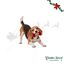 Wonder Christmas Caramelo Juguete para perros, , large indicador imagen numero 1