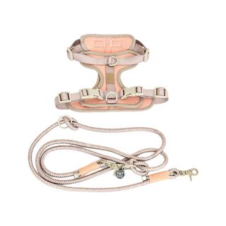 Pet and Co Set De Arnés y Correa Rosa Polvo Rex Perros