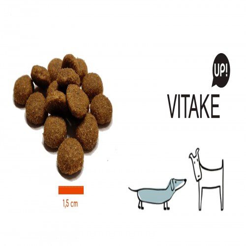 Pienso para perros Vitake Up! sabor Salm&oacute;n, , large Imagen numero 3