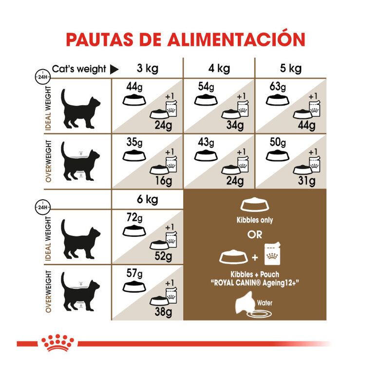 Royal Canin Senior +12 pienso para gatos, , large image number null