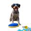 Summer Vibes Pelota Rugby Ovalado Flotante Peluche para perros, , large indicador imagen numero 7