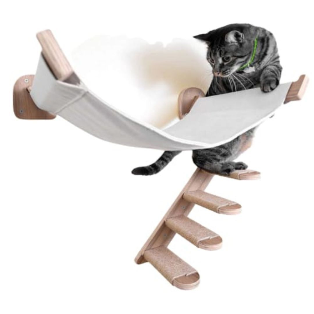 Kit de hamaca con escalera para gatos, , large Imagen numero 1