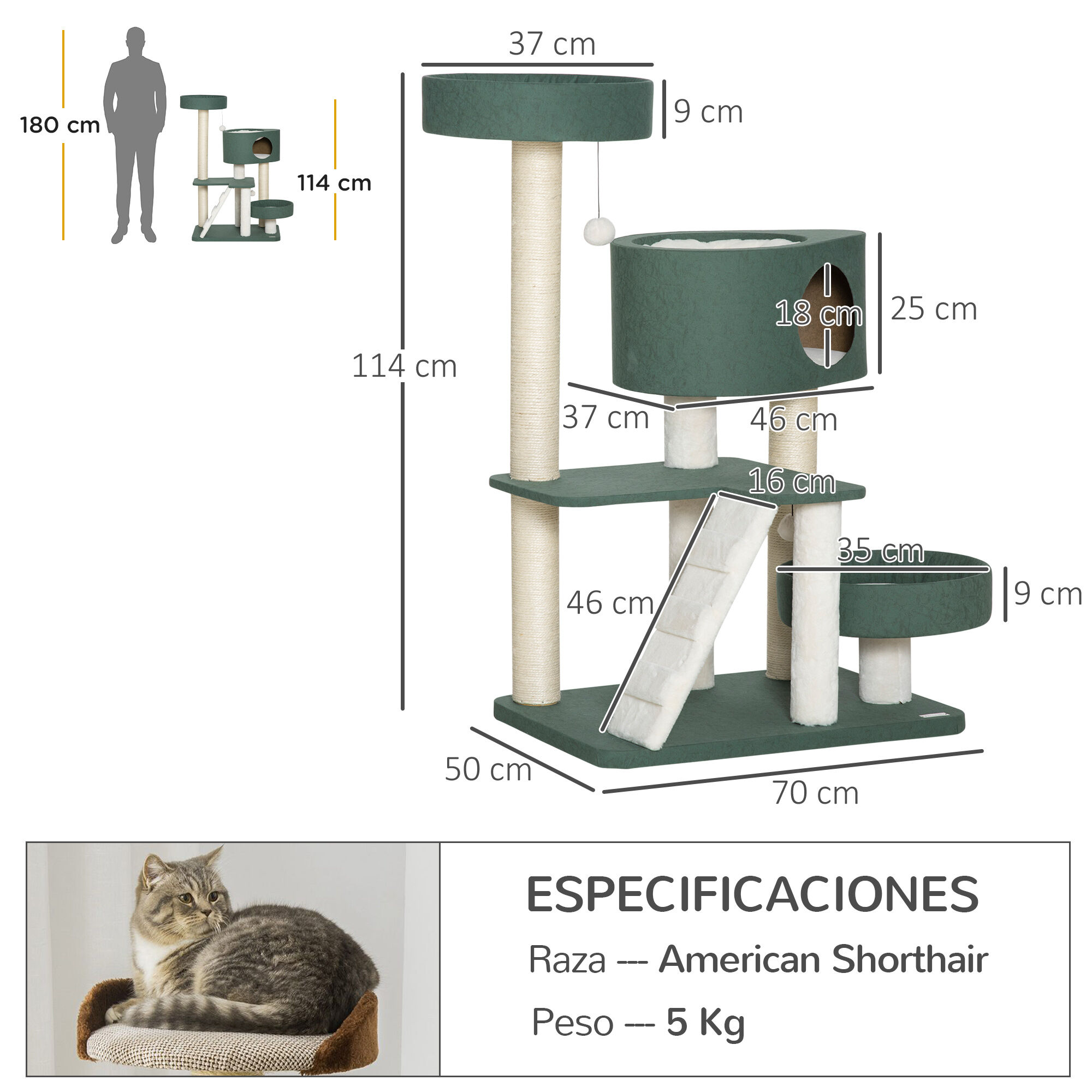 PawHut &Aacute;rbol Rascador para Gatos Altura 114 cm Torre para Gatos con 2 Camas Cueva Hamaca Plataforma Escalera Bolas Colgantes y Postes de Sisal 70x50x114 cm Verde, , large Imagen numero 3