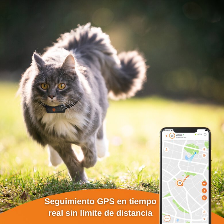 Weenect XS - GPS para gato (Negro), , large image number null