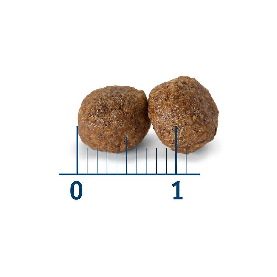 Nath Puppy Medium Maxi Pollo Pienso para Perros thumbnail