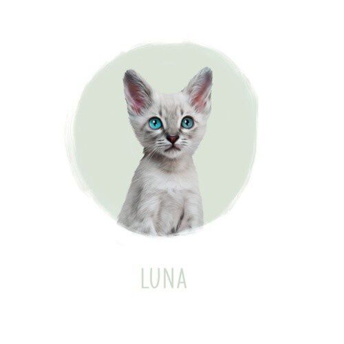 Mascochula luna retrato personalizado realista en digital con tu mascota aguamarina thumbnail