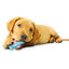Nylabone Hueso Mordedor Dental Sabor a Pollo para cachorros, , large indicador imagen numero 2