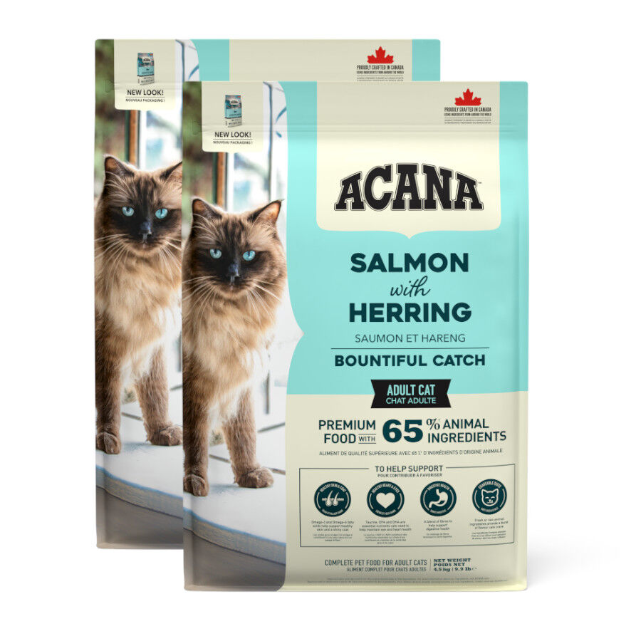 Acana Bountiful pienso para gatos